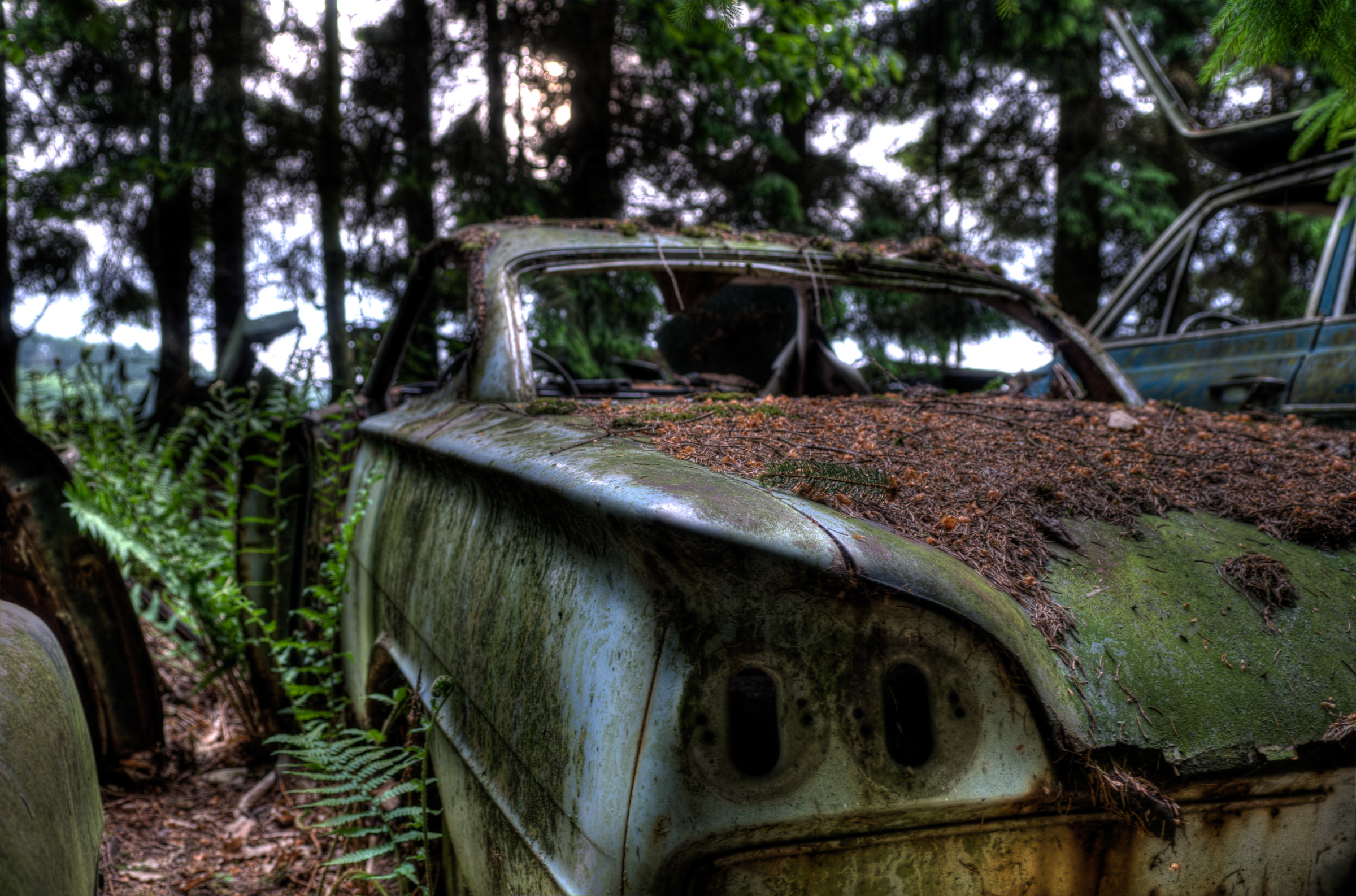 Кладбище машин в лесу