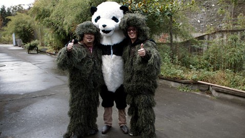 Panda-monium: Chinese Researchers Don Panda Suits To Study Pandas