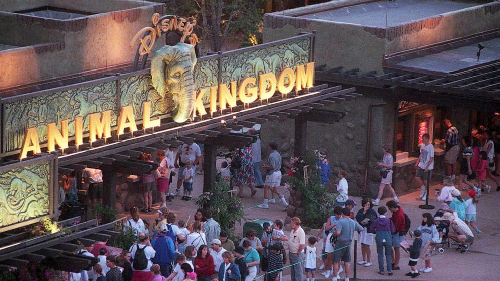 PHOTO: A crowd gathers at the entrance of Disney's Animal Kingdom in Orlando, Fla., in an undated photo.