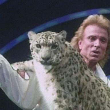 VIDEO: How Siegfried & Roy’s show at The Mirage revolutionized Las Vegas entertainment