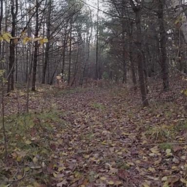 VIDEO: Walk through the N.H. state park where police found four bodies inside barrels