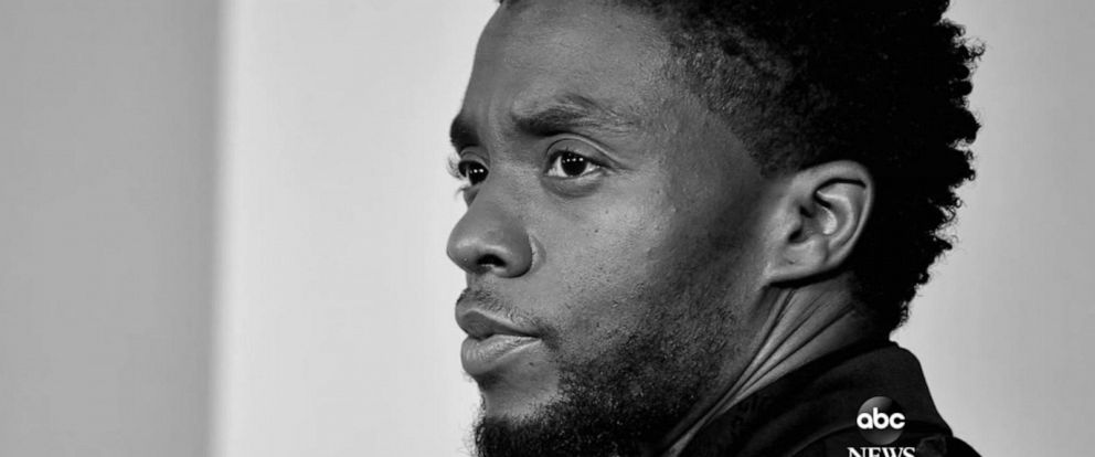 Chadwick Boseman Portrait to Be Auctioned Off for Project Angel Food