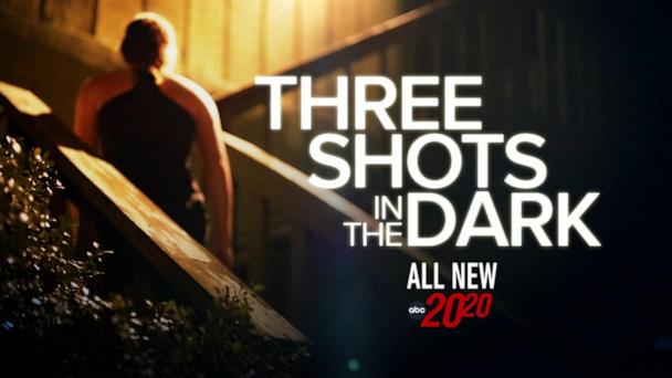 Three Shots in the Dark 
