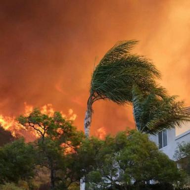 VIDEO: How the perfect climate storm led to widespread fire devastation in California