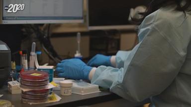 VIDEO: Why Arizona police could use groundbreaking DNA search to help break murder case