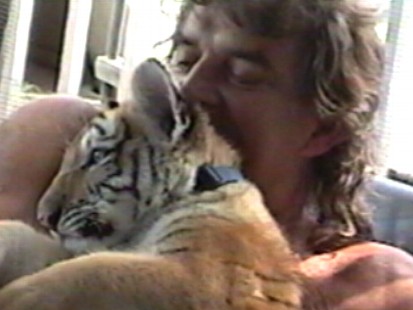VIDEO: Steve Sipek has been a proud papa to more than 100 lions, tigers and leopards.