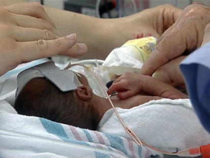 Baby Land