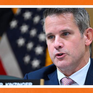 VIDEO: Adam Kinzinger muses: ‘I would love to run against Ted Cruz' 