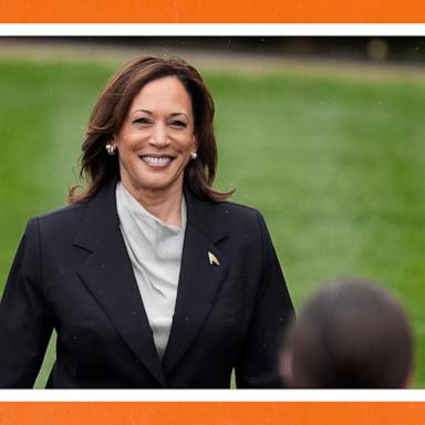 VIDEO: Does Harris have enough time to campaign?