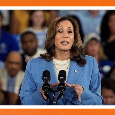 How much influence does Harris have on Biden's policies?