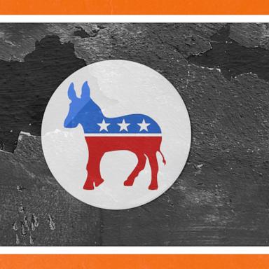 In this 538 Politics podcast, Galen speaks with Washington Post data scientist Lenny Bronner and New York Times polling editor Ruth Igielnik about how the Democratic party may evolve.