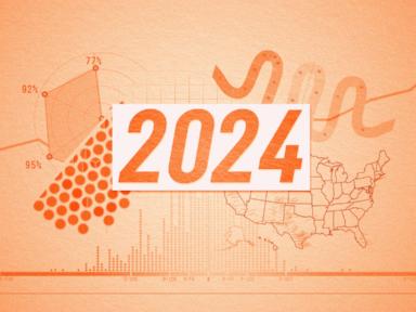 26 charts that helped explain 2024 in politics