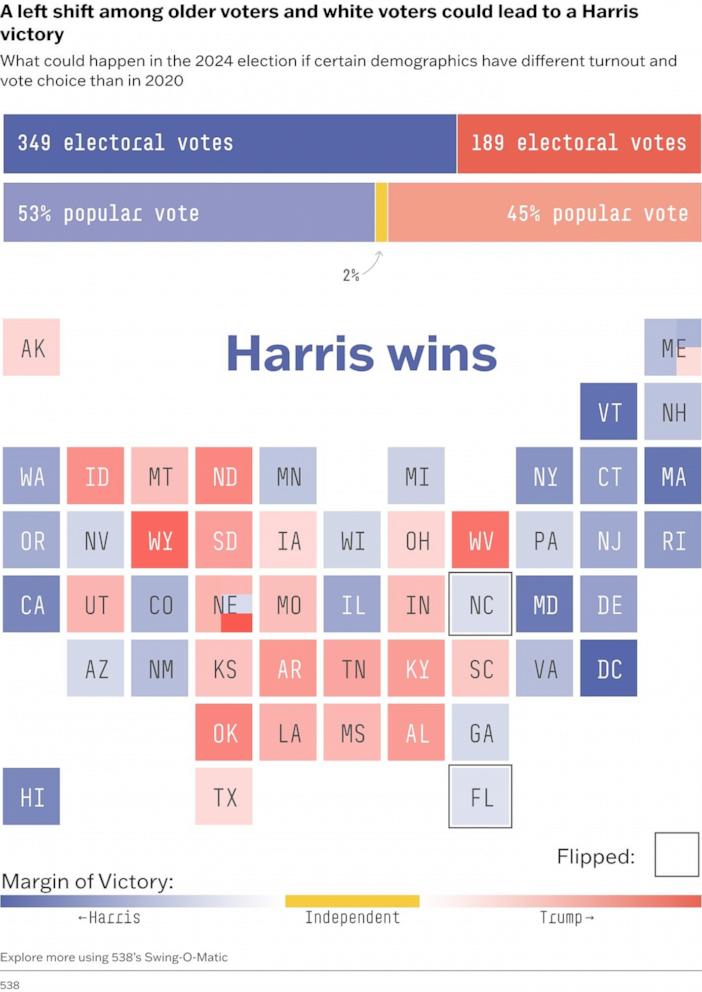 PHOTO: A left shift among older voters and white voters could lead to a Harris victory.