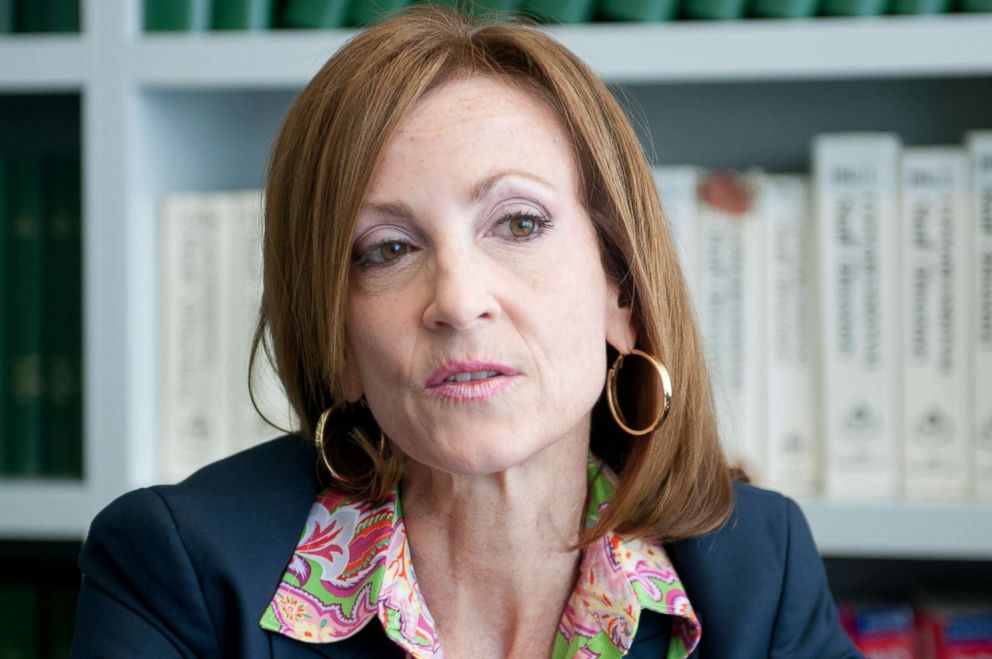 PHOTO: Former Congresswoman Nan Hayworth speaks to reporters during an interview, July 22, 2014.