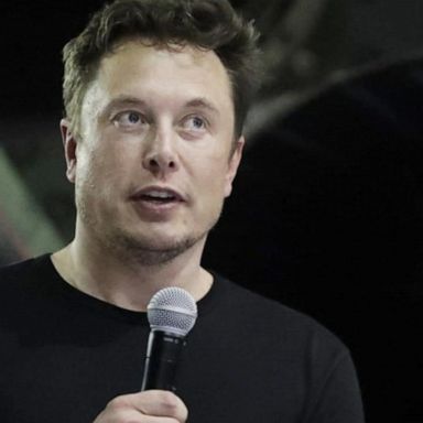 VIDEO: Elon Musk becomes Twitter's 'chief twit'