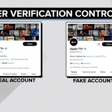 VIDEO: Twitter tumult continues as company ends paid verification