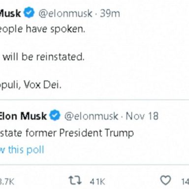 VIDEO: Elon Musk reactivates Trump’s Twitter account