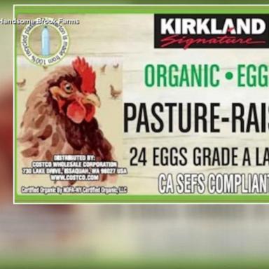 VIDEO: Salmonella found in egg products at Costco