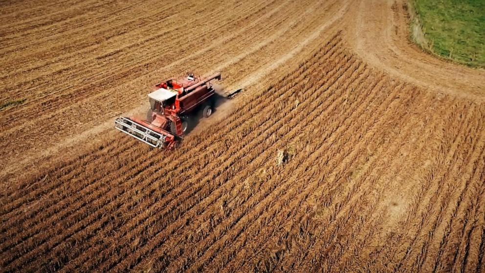 VIDEO: Economist on the farm economy in crisis