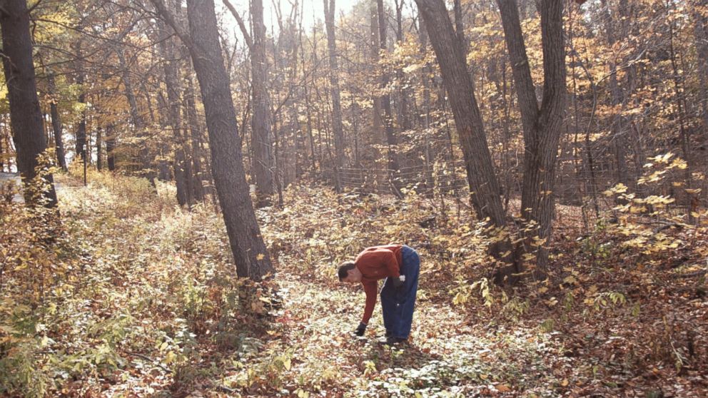 PHOTO: Damon Baehrel harvests food on his 12-acre property in Earlton, NY, Oct. 27, 2015