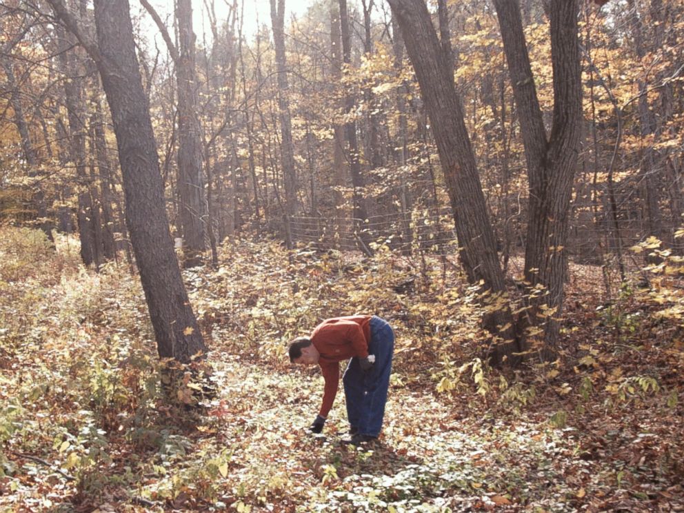 PHOTO: Damon Baehrel harvests food on his 12-acre property in Earlton, NY, Oct. 27, 2015