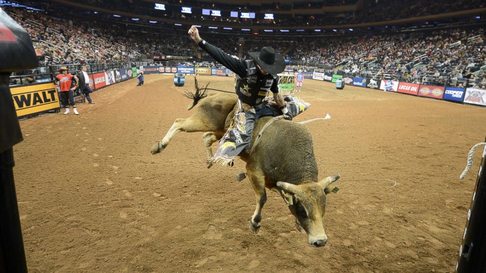 Fabiano Vieira rides Hot Toddy at the Professional Bull Riders Monster Energy Invitational in New York, Jan. 4, 2013. 