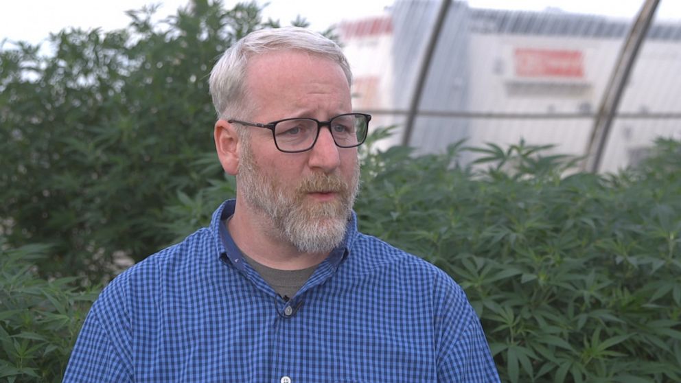 PHOTO: Damien Farris, director of agronomy at Colorado Cultivars, and his team work to genetically breed new and different strains of hemp to improve quality for a variety of uses, including grain production, fiber and CBD. 