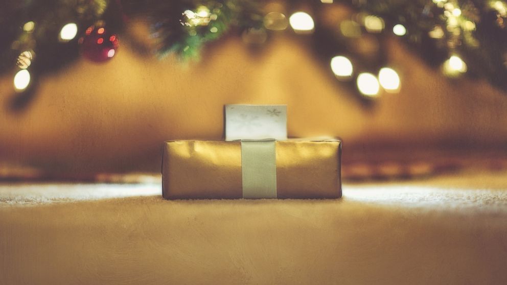 A wrapped Christmas present sits under a Christmas tree.