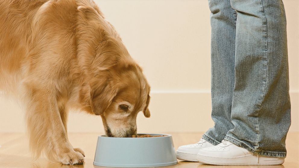 https://s.abcnews.com/images/Business/GTY_dog_eating_dogfood_sr_140409_16x9_992.jpg