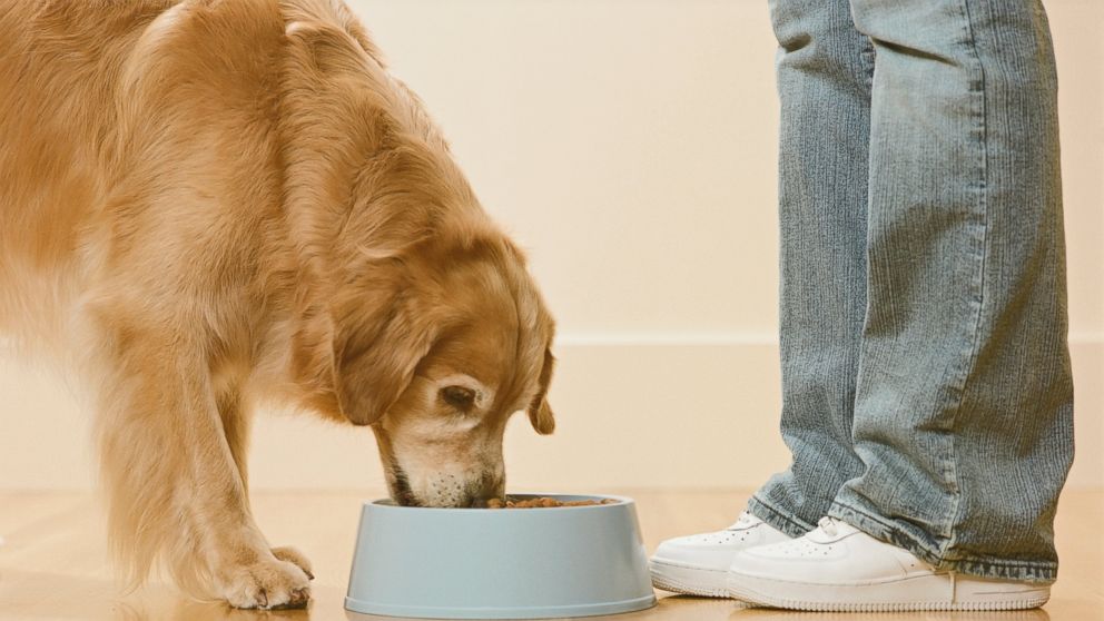 Mars is spending $2.9 billion to beef up its line of premium pet foods. Does Fido care?