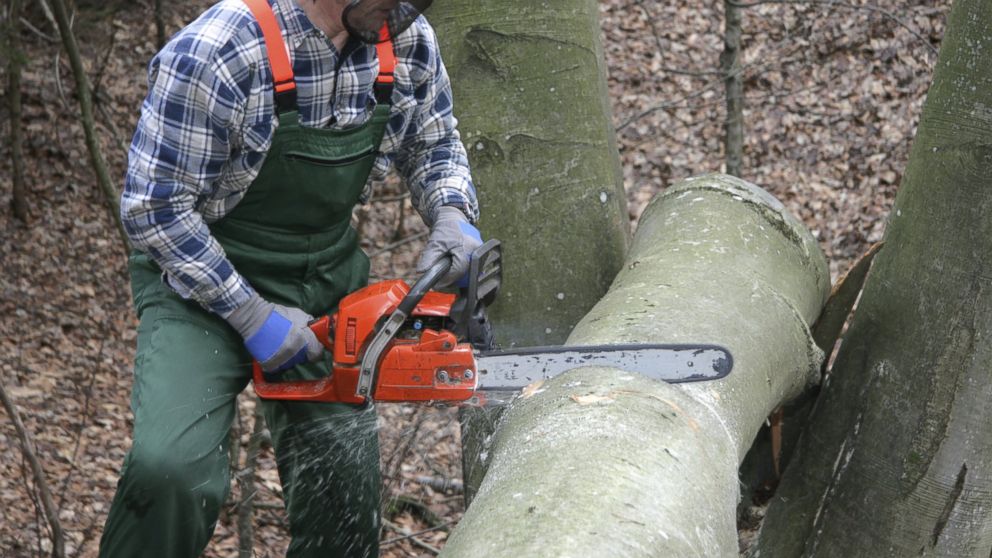 In this stock image, a lumberjack is pictured. 