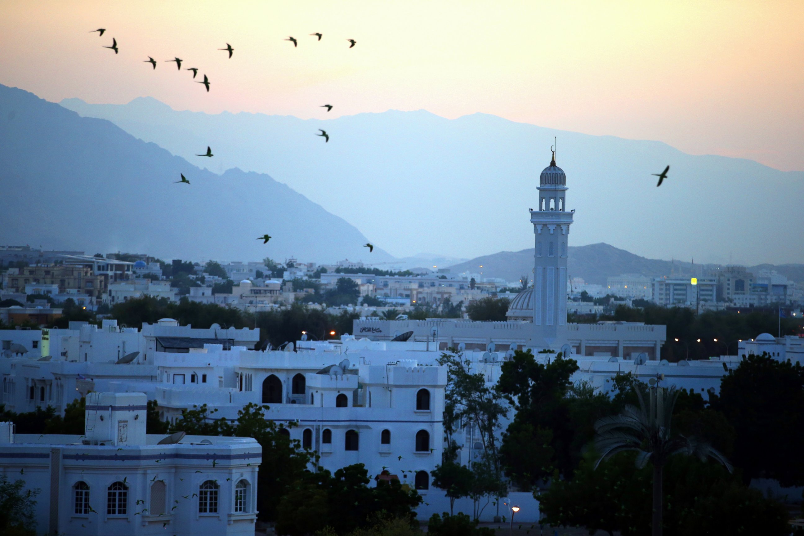 PHOTO: A general view of the skyline in Muscat, Oman, Nov. 18, 2014.