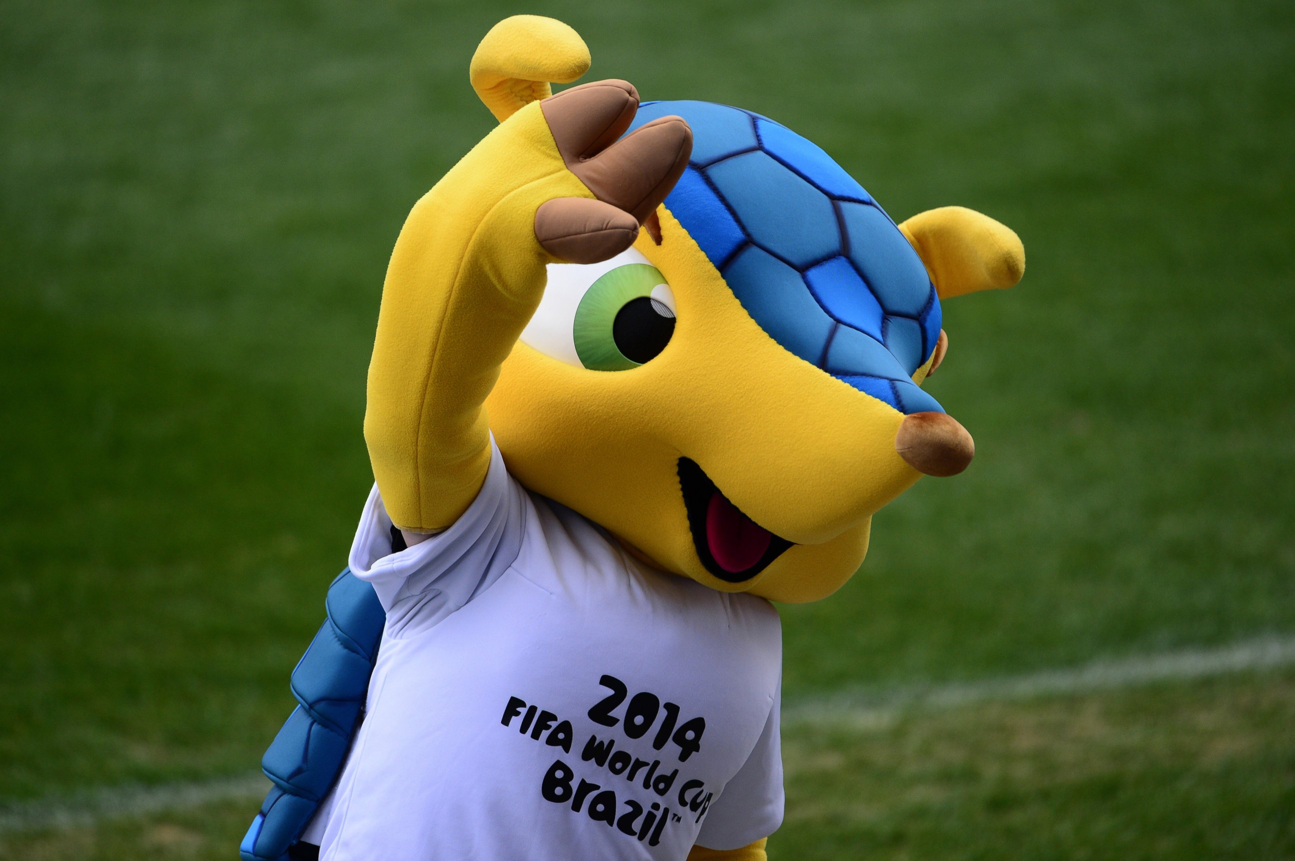 PHOTO: Fuleco the Armadillo, the official mascot of the 2014 FIFA World Cup Brazil