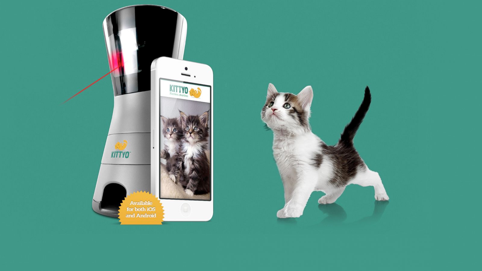 Play With Your Cat By Remote Control, Via Kittyo - ABC News