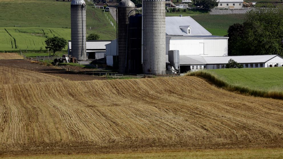 FILE- This May 29, 2019, file photo shows a farm outside Morgantown, Pa. On Tuesday, June 11, the Labor Department reports on U.S. producer price inflation in May. (AP Photo/Jacqueline Larma, File)