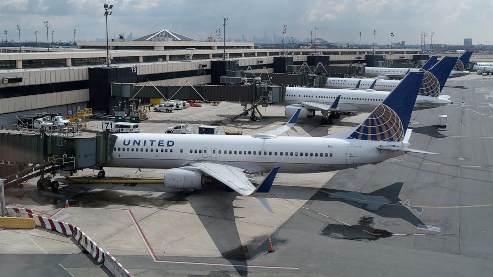 FILE - United Airlines planes are parked at gates at Newark Liberty International Airport in Newark, N.J., on July 1, 2020. On Monday, Aug. 15, 2022, the Federal Aviation Administration said that it was reducing flights in the area around New York Ci