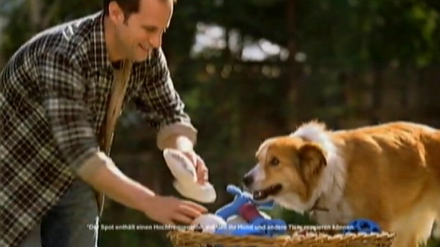 purina dog commercial