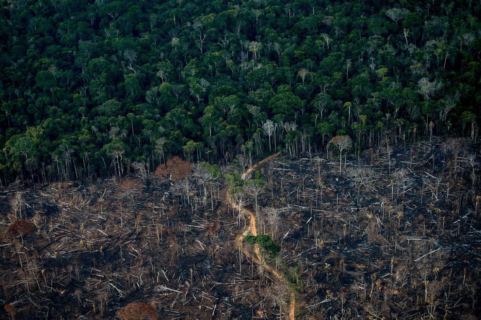 A deforested area of Amazonia rainforest in Labrea, Amazonas state, Brazil, on Sept. 15, 2021.