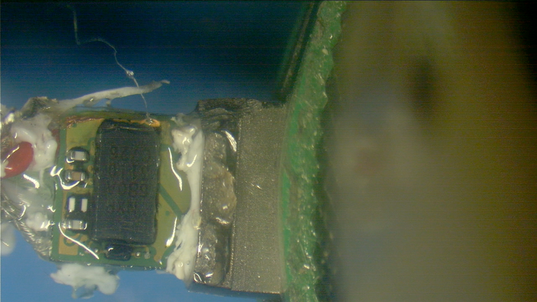 PHOTO: An Apple protective chip is photographed here.