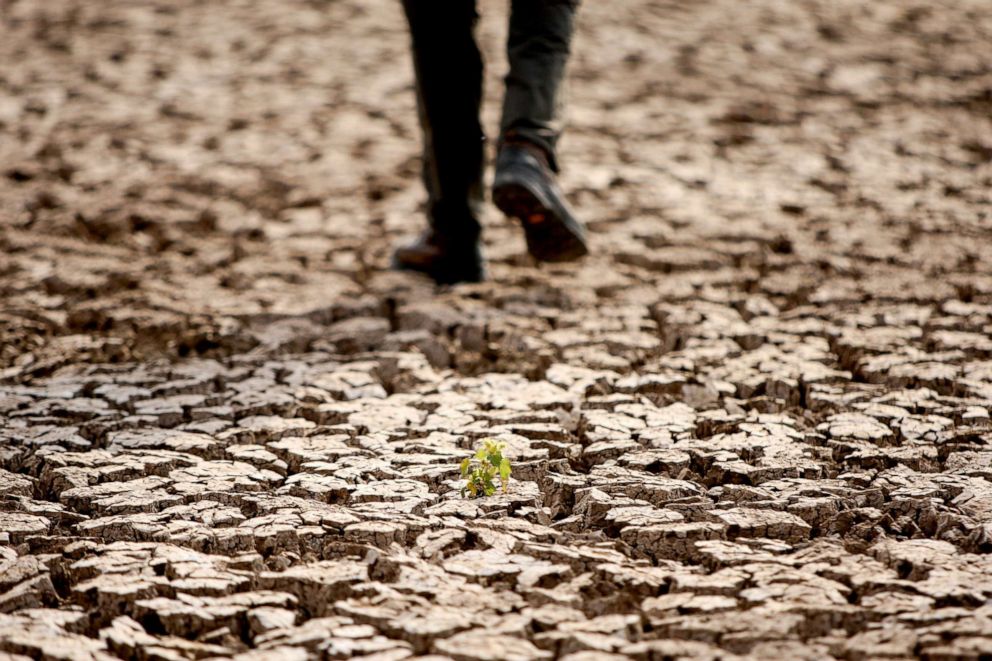 PHOTO: A person walks along cracks at the partly dried up Devegecidi Dam, northwest of drought-stricken Diyarbakir, Turkey, Oct. 29, 2021.