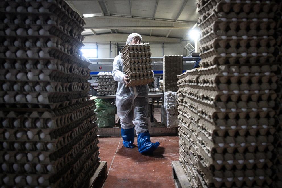 PHOTO: An employee packages eggs at Aytekin chicken farm on Feb. 28, 2025, in Bandirma, Turkey. 