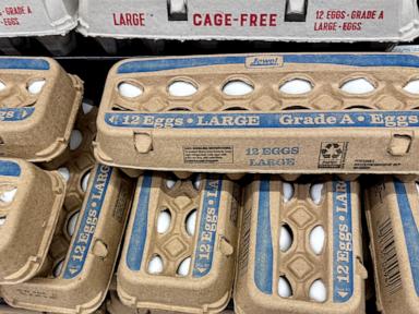 Wholesale price of eggs drops for 3rd week in a row