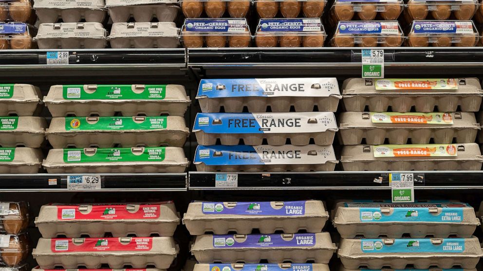 Egg prices reach record highs amid avian flu outbreak