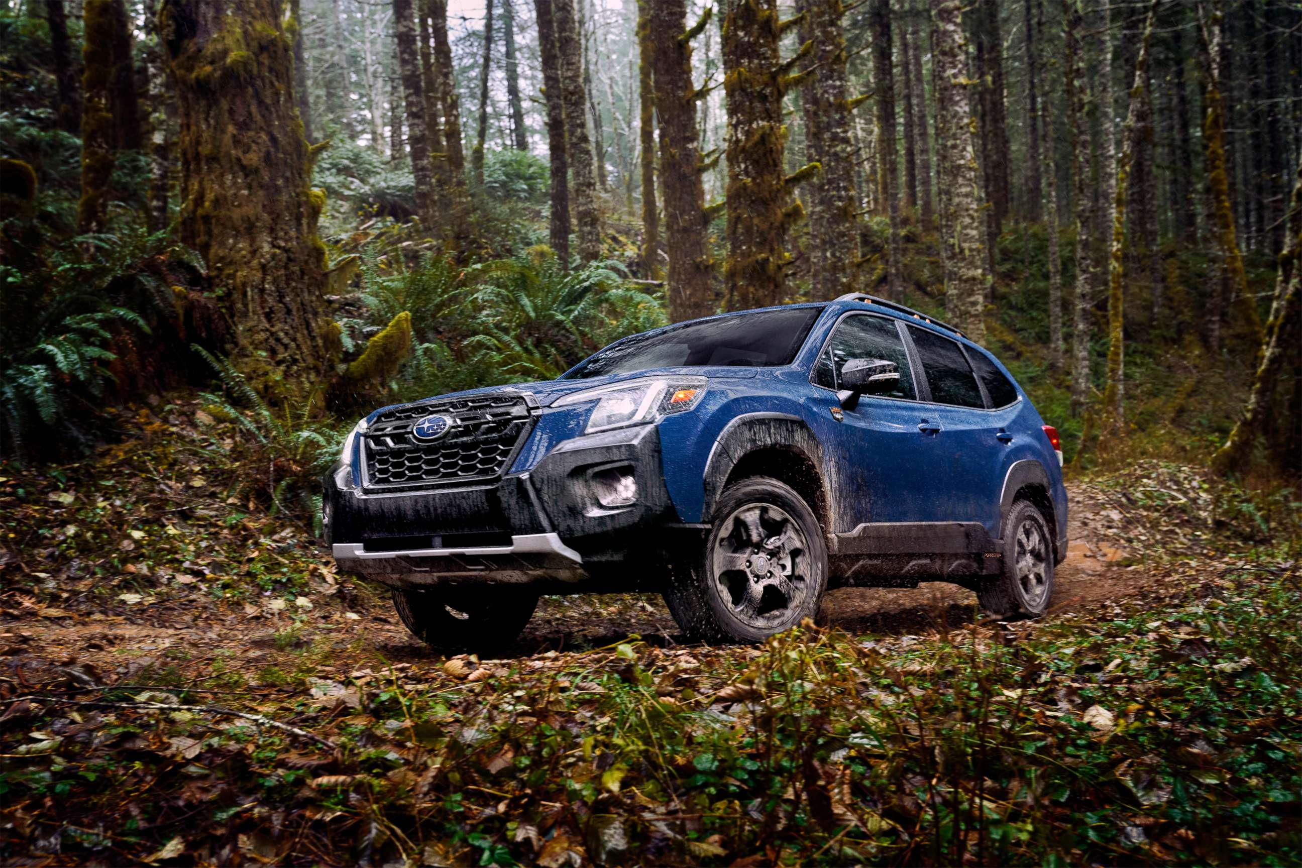 PHOTO: Subaru's best-selling models are the Forrester, pictured, and the Outback.