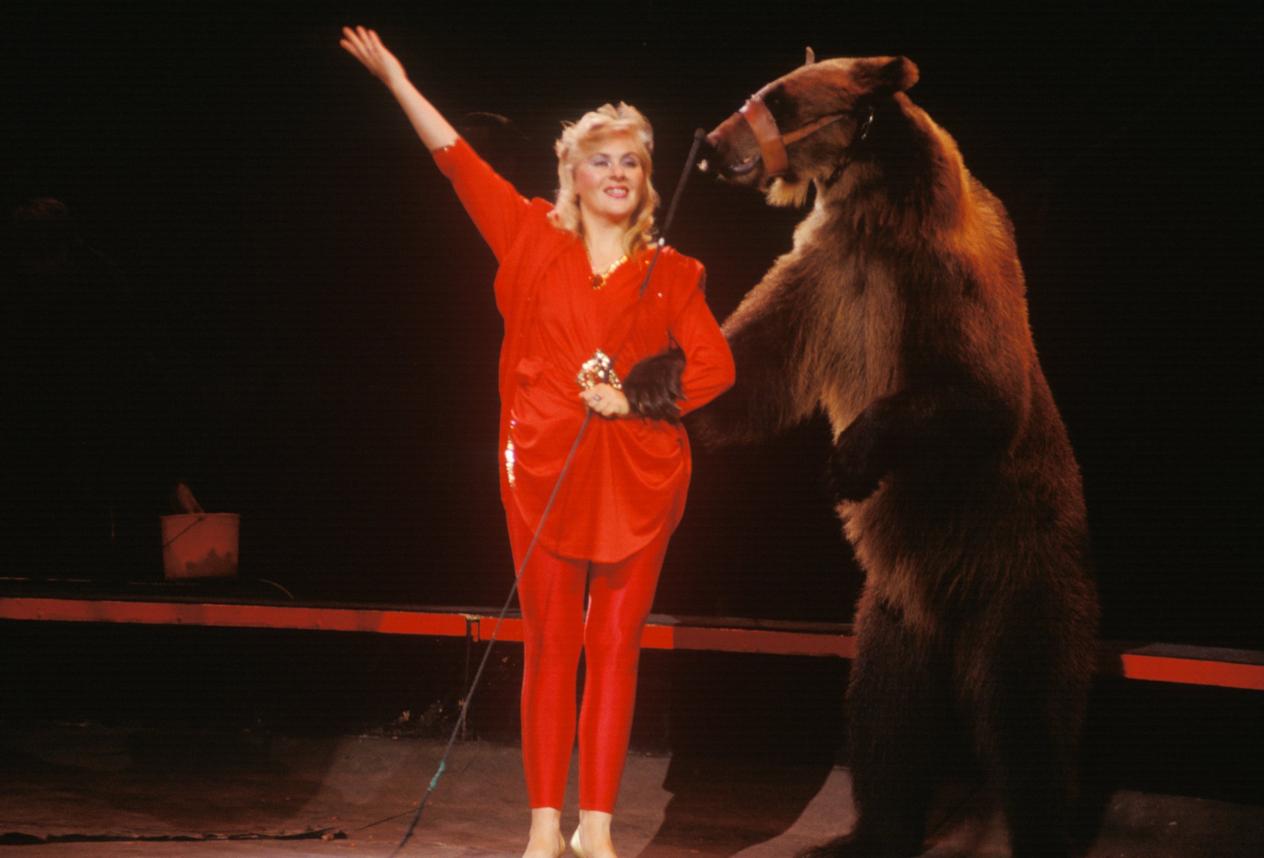 PHOTO: A female trainer with a bear during a Ringling Brothers & Barnum & Bailey Circus performance.
