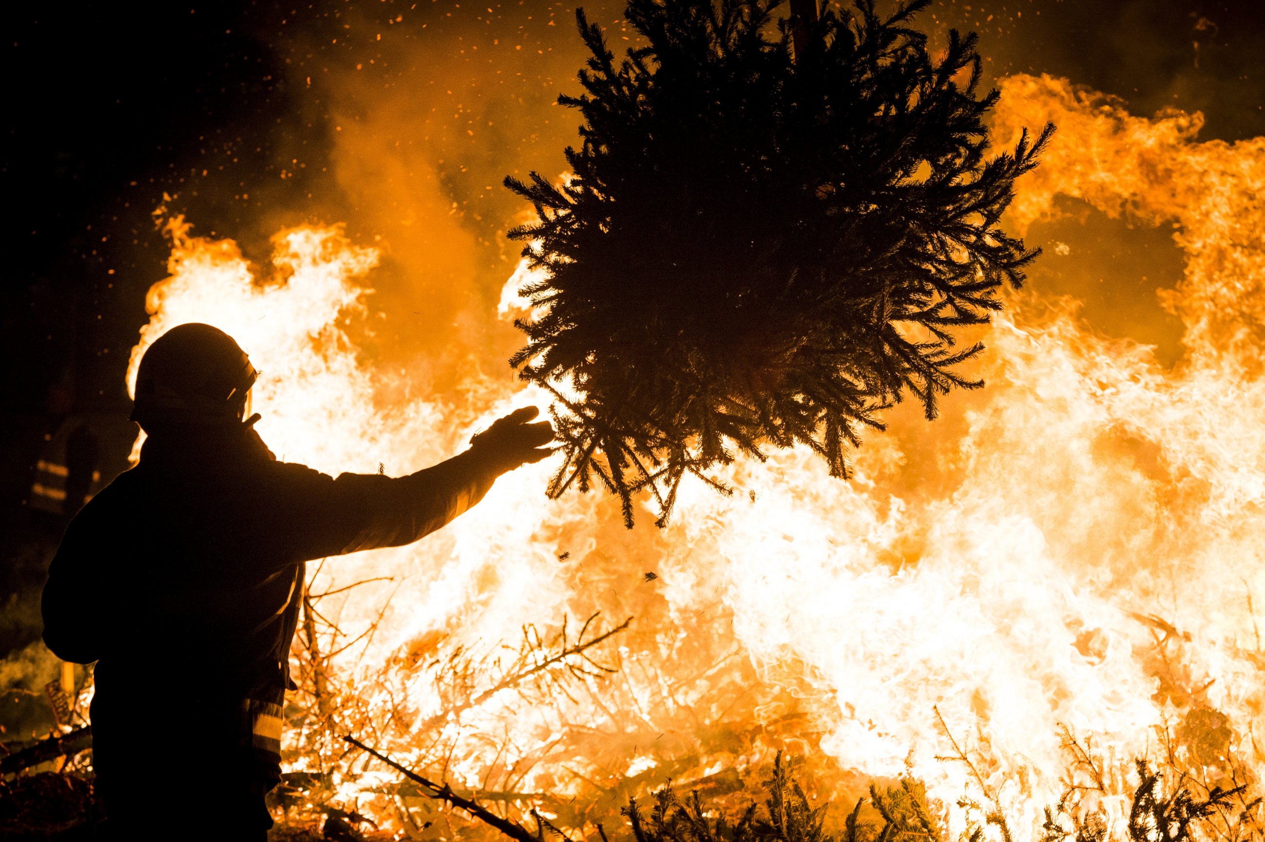 PHOTO: A man throws a tree on a burning pile of trees at the Museumplein, Amsterdam, on Jan. 5, 2014, during an annual ceremony of Christmas trees' burning.   