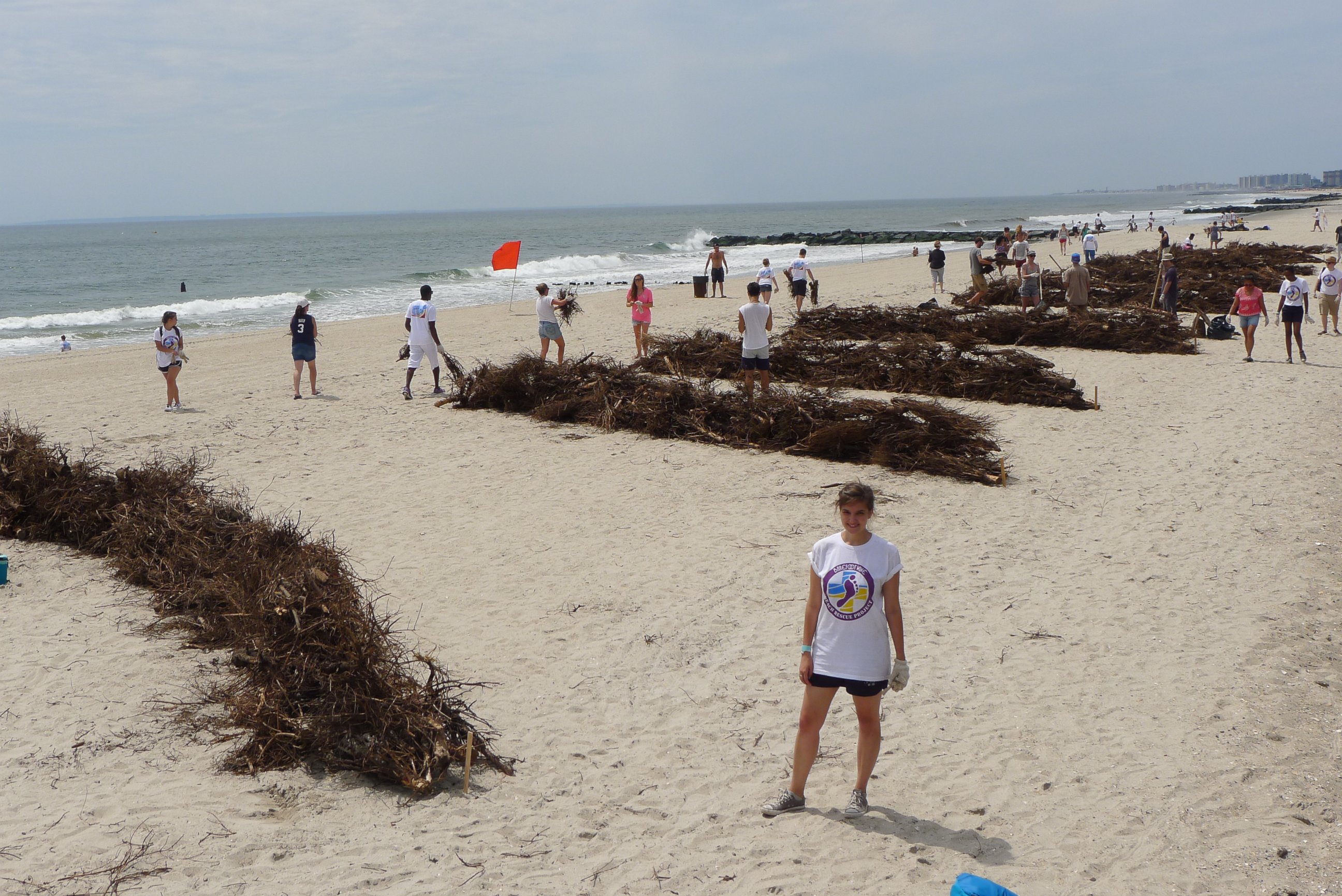 PHOTO: Volunteers help restore the beach in the Rockaways, Queens, New York, Aug. 10, 2013.