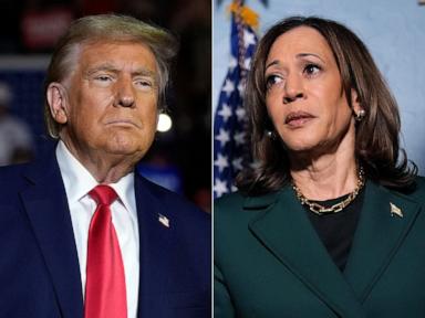 Here's what a Kamala Harris or Donald Trump win would mean for the stock market