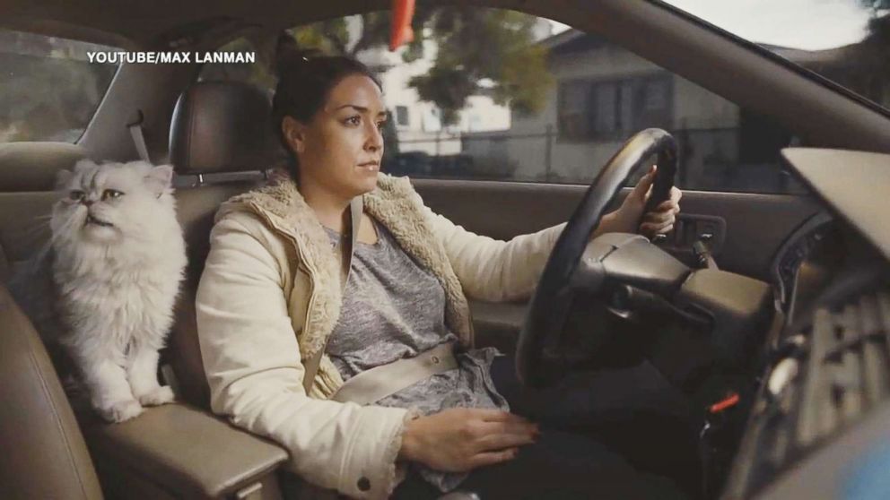 PHOTO: Max Lanman's commercial for his girlfriend's Honda Accord shows a woman driving the car with a cat in her lap.