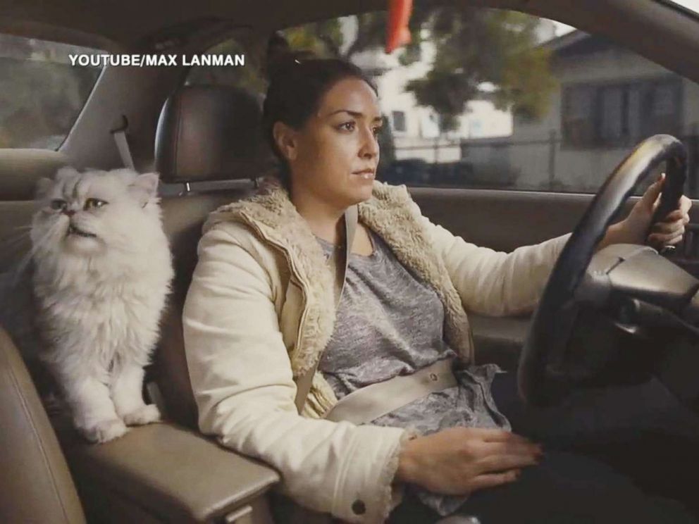 PHOTO: Max Lanmans commercial for his girlfriends Honda Accord shows a woman driving the car with a cat in her lap.